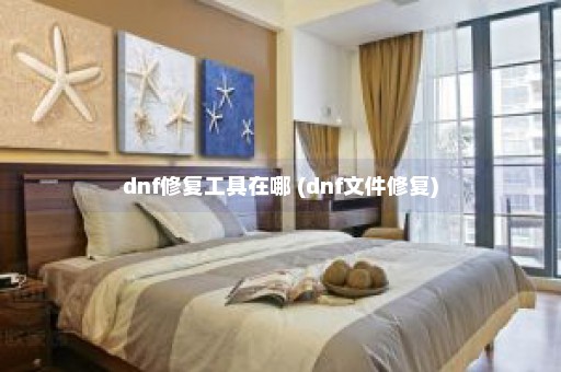 dnf修复工具在哪 (dnf文件修复)