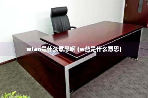 wlan是什么意思啊 (w蓝是什么意思)