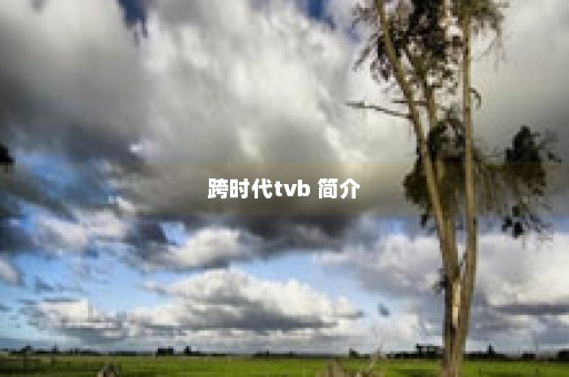 跨时代tvb 简介