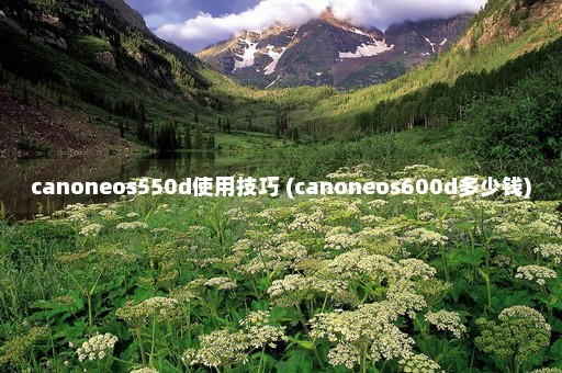 canoneos550d使用技巧 (canoneos600d多少钱)