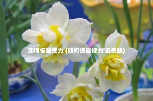 如何恢复视力 (如何恢复视力 近视眼)