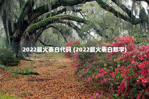 2022最火表白代码 (2022最火表白数字)