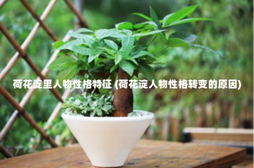 荷花淀里人物性格特征 (荷花淀人物性格转变的原因)