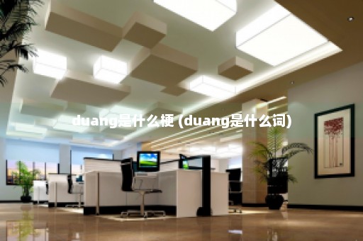 duang是什么梗 (duang是什么词)