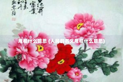 甩棍什么意思 (人民的名义甩棍什么意思)