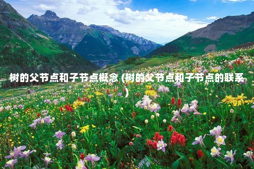 树的父节点和子节点概念 (树的父节点和子节点的联系)