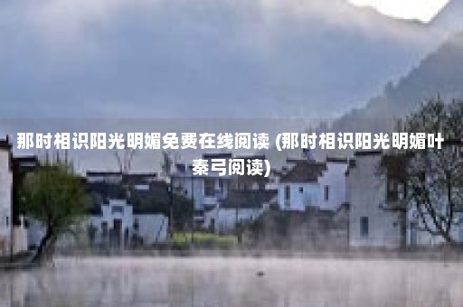 那时相识阳光明媚免费在线阅读 (那时相识阳光明媚叶秦弓阅读)