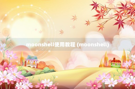 moonshell使用教程 (moonshell)