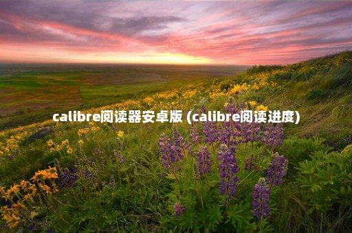 calibre阅读器安卓版 (calibre阅读进度)