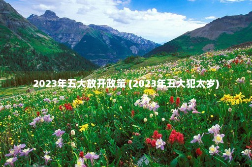 2023年五大放开政策 (2023年五大犯太岁)