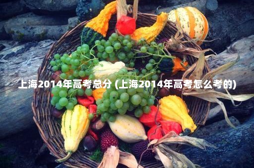 上海2014年高考总分 (上海2014年高考怎么考的)