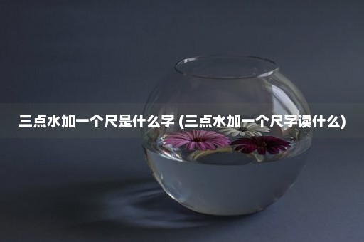 三点水加一个尺是什么字 (三点水加一个尺字读什么)