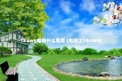 18awg电线什么意思 (电线上18AWG)