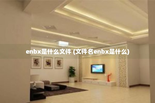 enbx是什么文件 (文件名enbx是什么)