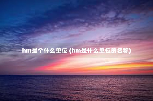 hm是个什么单位 (hm是什么单位的名称)