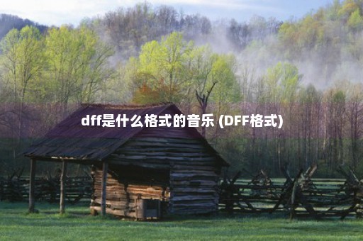 dff是什么格式的音乐 (DFF格式)