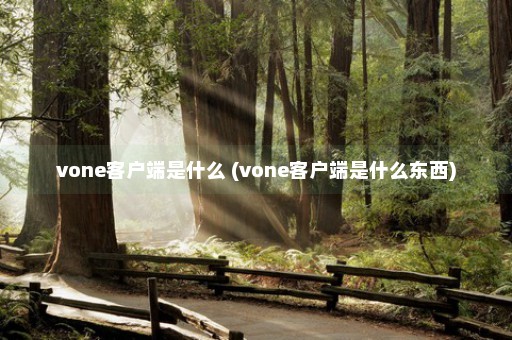 vone客户端是什么 (vone客户端是什么东西)