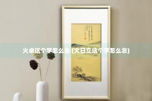 火卓这个字怎么念 (火日立这个字怎么念)