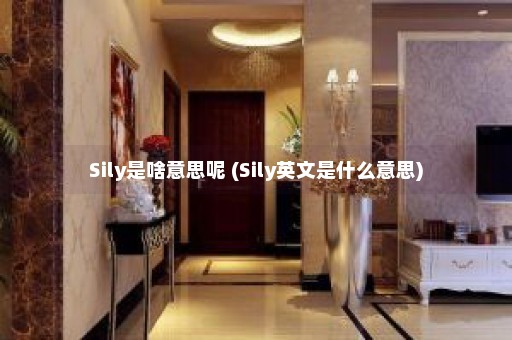 Sily是啥意思呢 (Sily英文是什么意思)