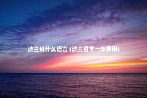 波兰说什么语言 (波兰留学一年费用)