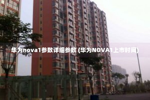 华为nova1参数详细参数 (华为NOVA1上市时间)