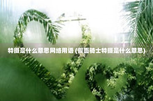 特摄是什么意思网络用语 (假面骑士特摄是什么意思)