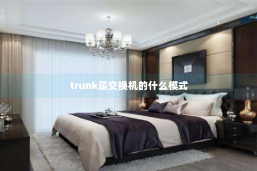 trunk是交换机的什么模式