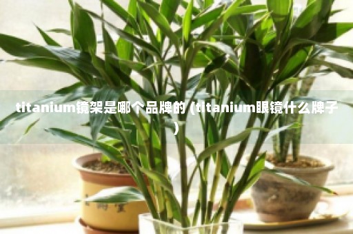 titanium镜架是哪个品牌的 (titanium眼镜什么牌子)