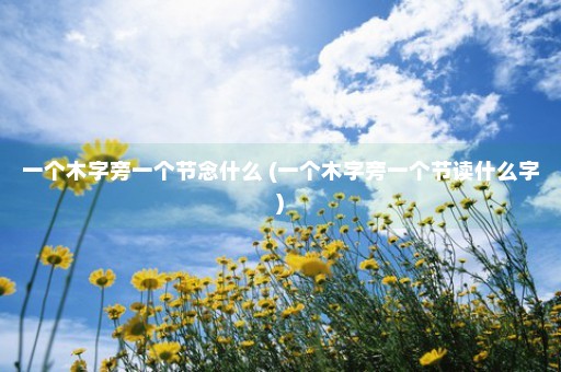 一个木字旁一个节念什么 (一个木字旁一个节读什么字)