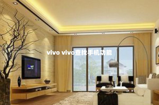 vivo vivo查找手机功能