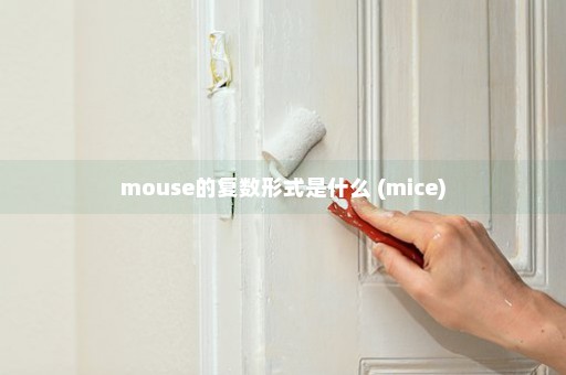 mouse的复数形式是什么 (mice)