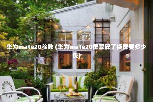 华为mate20参数 (华为mate20屏幕碎了换屏要多少钱)