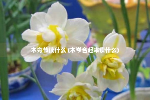 木旁节读什么 (木岑合起来读什么)