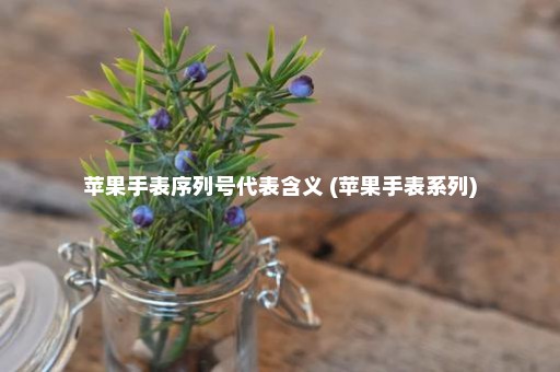 苹果手表序列号代表含义 (苹果手表系列)