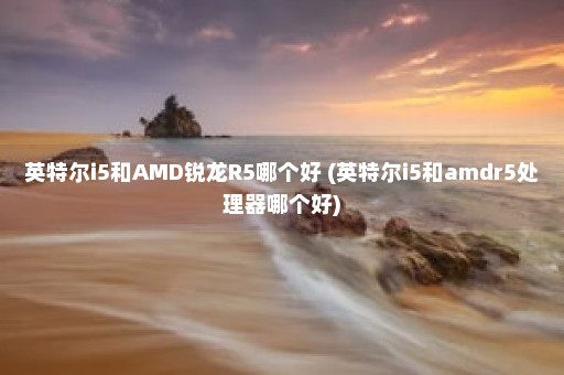 英特尔i5和AMD锐龙R5哪个好 (英特尔i5和amdr5处理器哪个好)