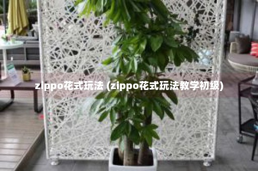 zippo花式玩法 (zippo花式玩法教学初级)