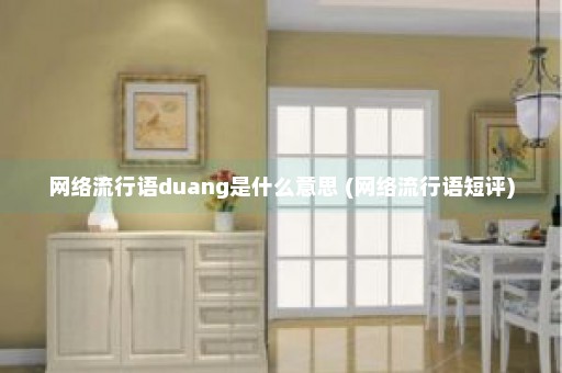 网络流行语duang是什么意思 (网络流行语短评)