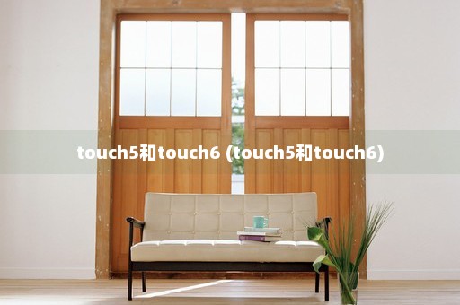 touch5和touch6 (touch5和touch6)