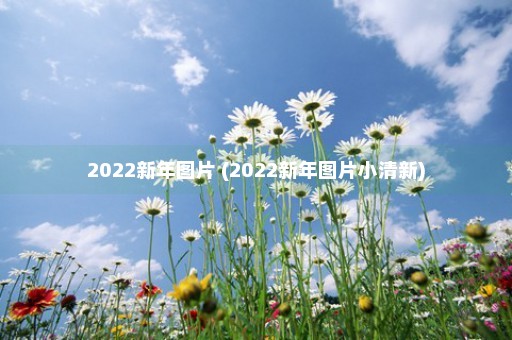 2022新年图片 (2022新年图片小清新)