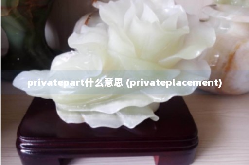 privatepart什么意思 (privateplacement)