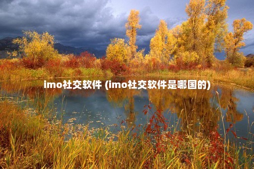 imo社交软件 (imo社交软件是哪国的)