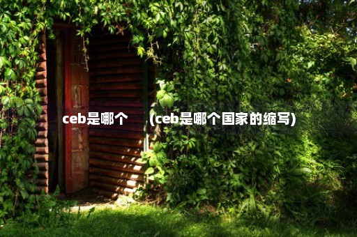 ceb是哪个      (ceb是哪个国家的缩写)