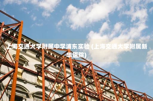 上海交通大学附属中学浦东实验 (上海交通大学附属新华医院)