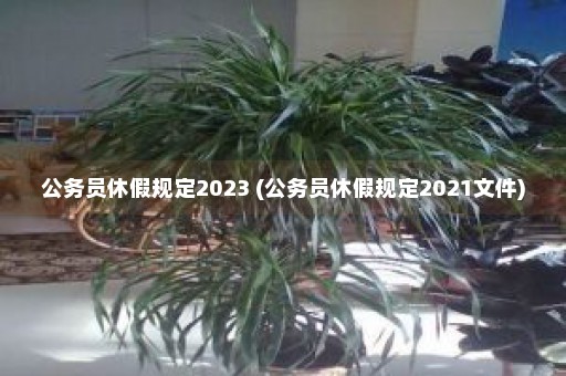 公务员休假规定2023 (公务员休假规定2021文件)