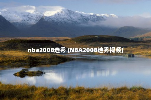 nba2008选秀 (NBA2008选秀视频)