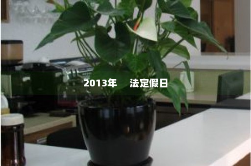 2013年     法定假日