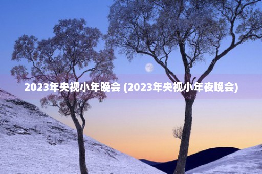 2023年央视小年晚会 (2023年央视小年夜晚会)