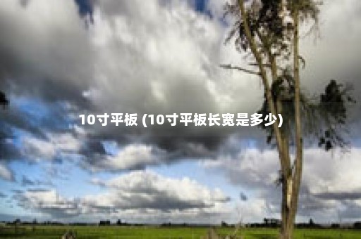 10寸平板 (10寸平板长宽是多少)