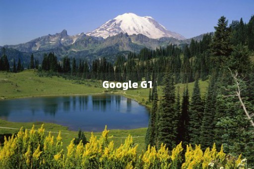 Google G1