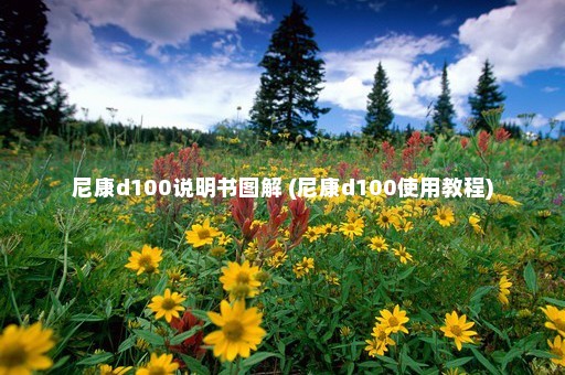 尼康d100说明书图解 (尼康d100使用教程)